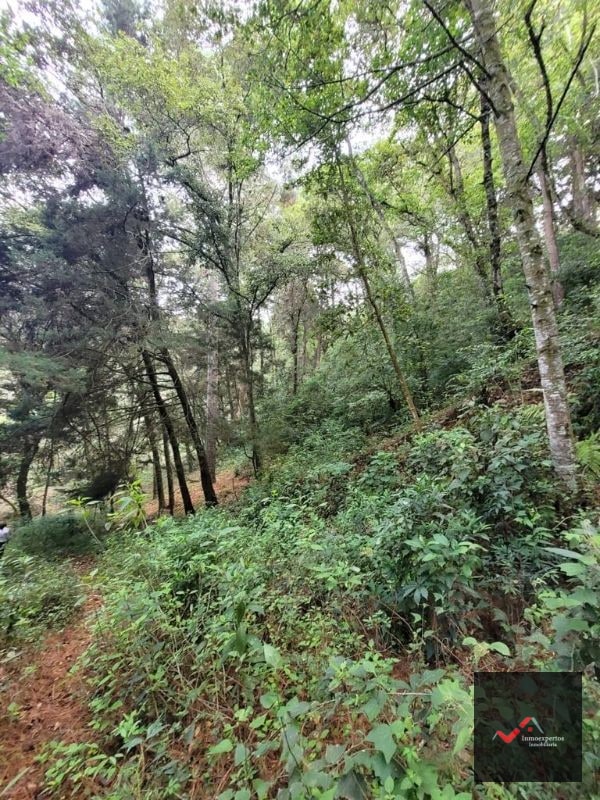TERRENO EN VENTA SAN LUCAS, SACATEPEQUEZ  - 7
