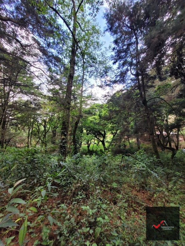 TERRENO EN VENTA SAN LUCAS, SACATEPEQUEZ  - 3