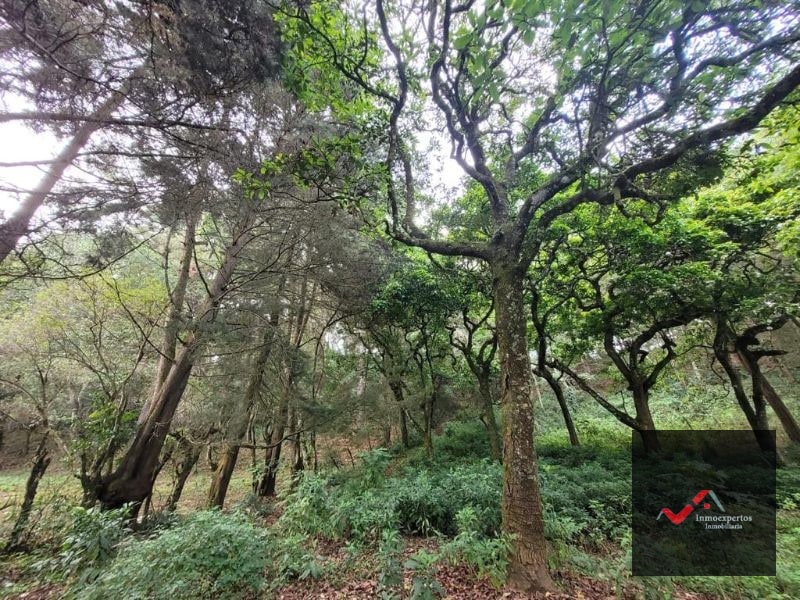 TERRENO EN VENTA SAN LUCAS, SACATEPEQUEZ  - 4
