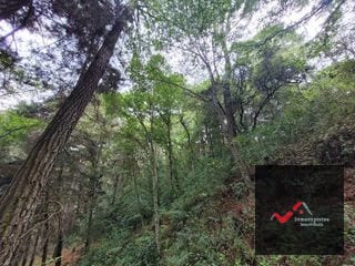 TERRENO EN VENTA SAN LUCAS, SACATEPEQUEZ  — Terreno en Venta en San Lucas Sacatepéquez, Sacatepéquez — miniatura 10 de 12