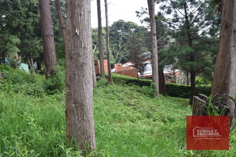 TERRENO EN VENTA EN SANTA ROSALIA LA LAGUNA 074TVSTD - 3
