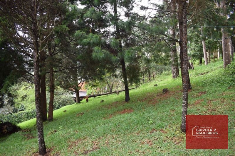 TERRENO EN VENTA EN SANTA ROSALIA LA LAGUNA 074TVSTD - 8