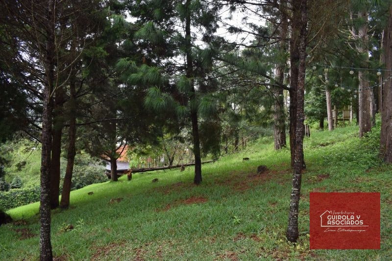 TERRENO EN VENTA EN SANTA ROSALIA LA LAGUNA 074TVSTD - 5