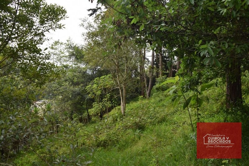 TERRENO EN VENTA EN SANTA ROSALIA LA LAGUNA 074TVSTD - 7