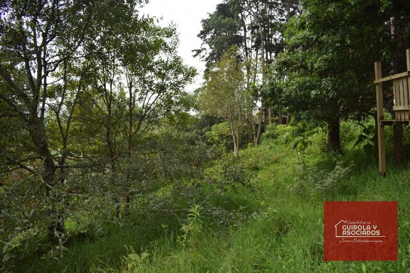 TERRENO EN VENTA EN SANTA ROSALIA LA LAGUNA 074TVSTD - 6