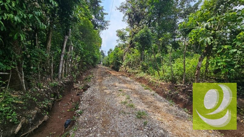 TERRENO DE 2 MANZANAS EN VENTA SANTA ELENA BARILLAS - 5
