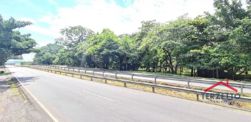 Km 64.5 Carretera Siquinala Escuintla - 6
