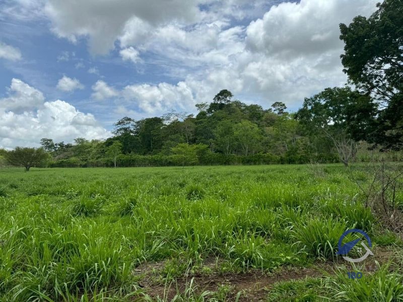 Se vende Finca en La Libertad -  Petén - Guatemala - 9