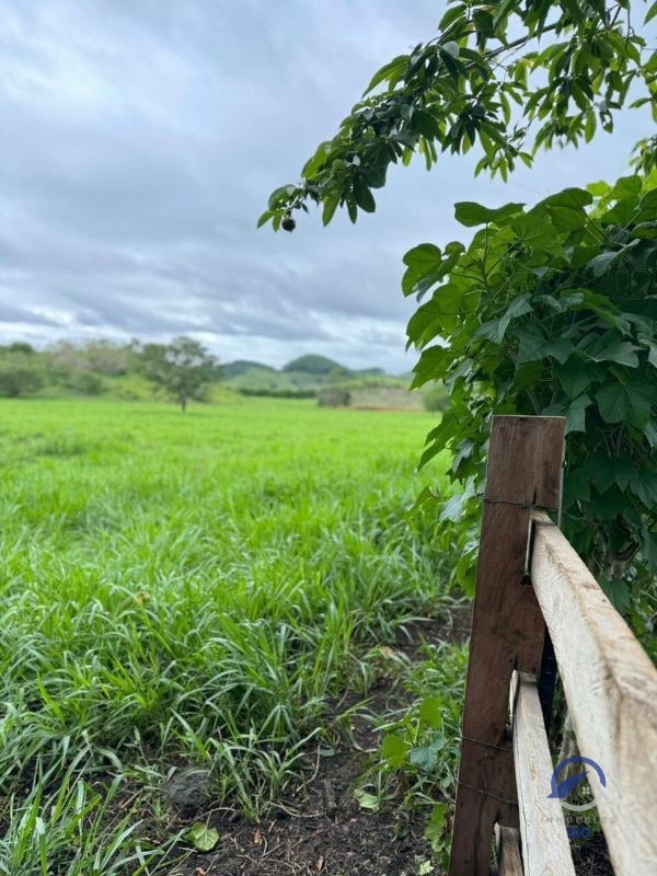 Se vende Finca en La Libertad -  Petén - Guatemala - 3