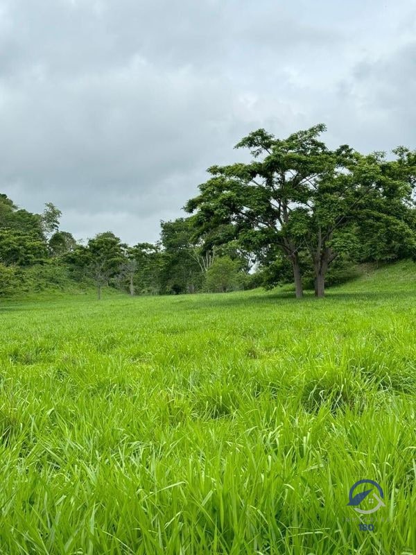 Se vende Finca en La Libertad - Petén - Guatemala - 7