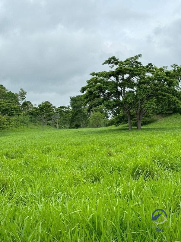 Se vende Finca en La Libertad - Petén - Guatemala — Finca en Venta en La Libertad, Petén — foto 8 de 11