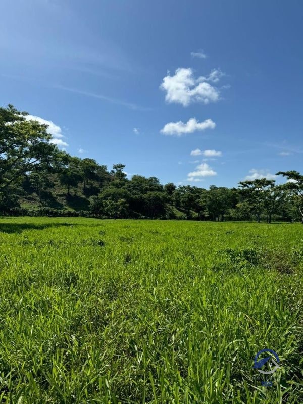 Se vende Finca en La Libertad -  Petén - Guatemala - 4
