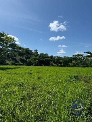 Se vende Finca en La Libertad -  Petén - Guatemala — Finca en Venta en La Libertad, Petén — miniatura 4 de 11