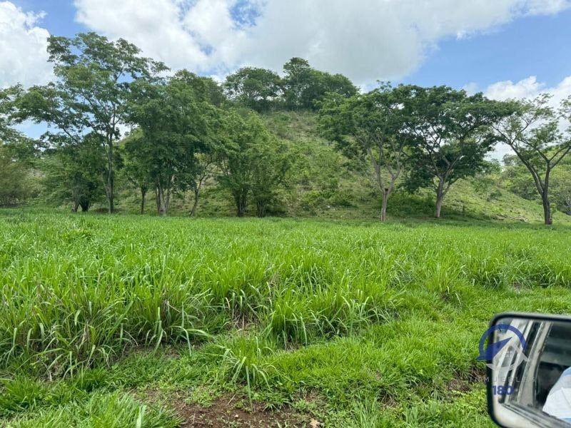 Se vende Finca en La Libertad - Petén - Guatemala - 8