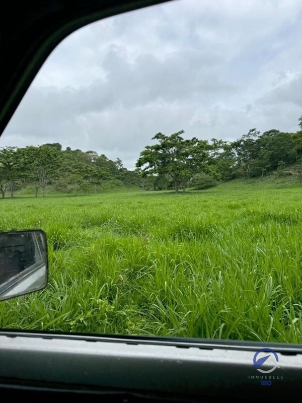 Se vende Finca en La Libertad -  Petén - Guatemala - 6