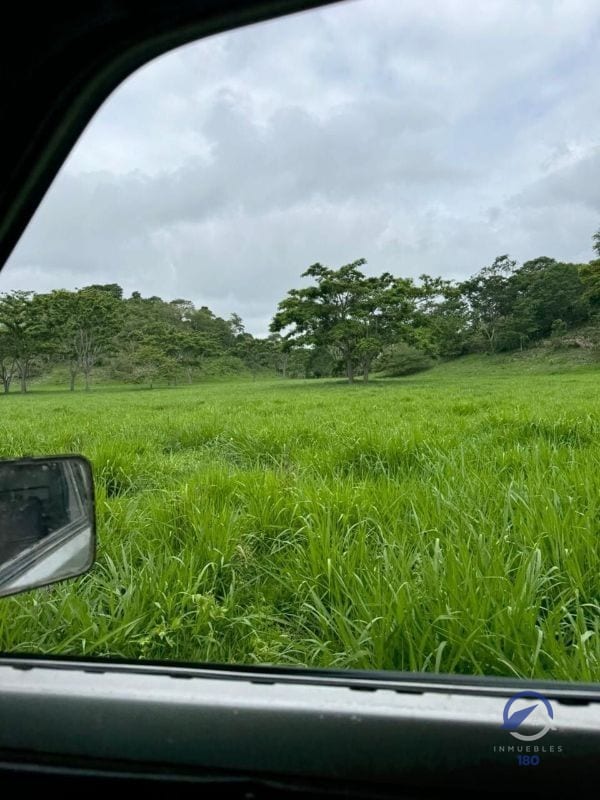 Se vende Finca en La Libertad -  Petén - Guatemala — Finca en Venta en La Libertad, Petén — foto 7 de 11