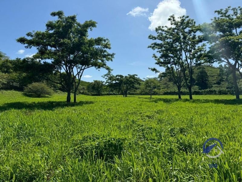 Se vende Finca en La Libertad - Petén - Guatemala - 10