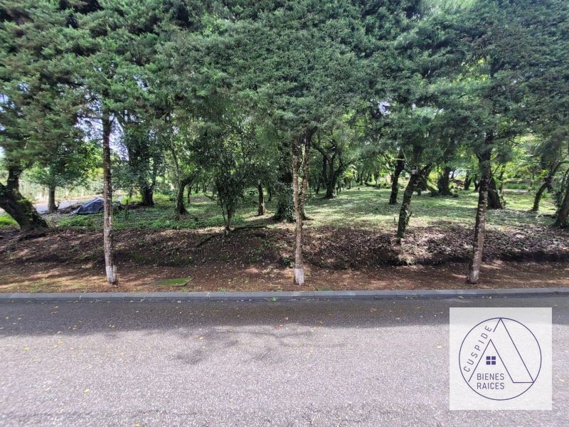 Carr. Salvador se vende terreno km 20 a Fraijanes San German de la Montaña - 3