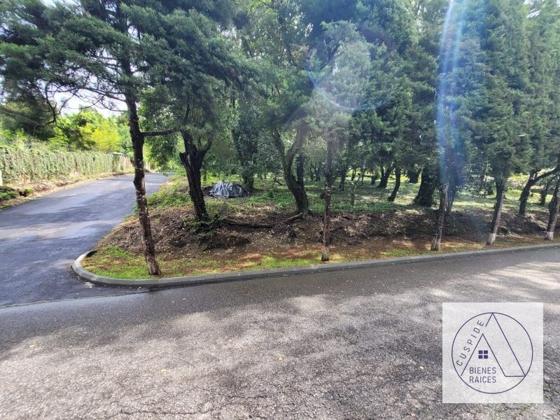 Carr. Salvador se vende terreno km 20 a Fraijanes San German de la Montaña - 2