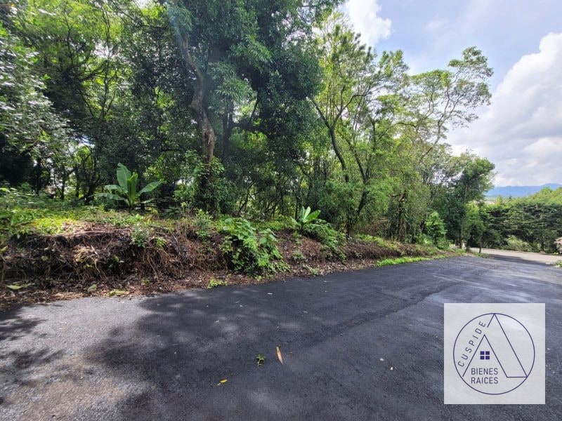 Carr. Salvador se vende terreno km 20 a Fraijanes San German de la Montaña - 1