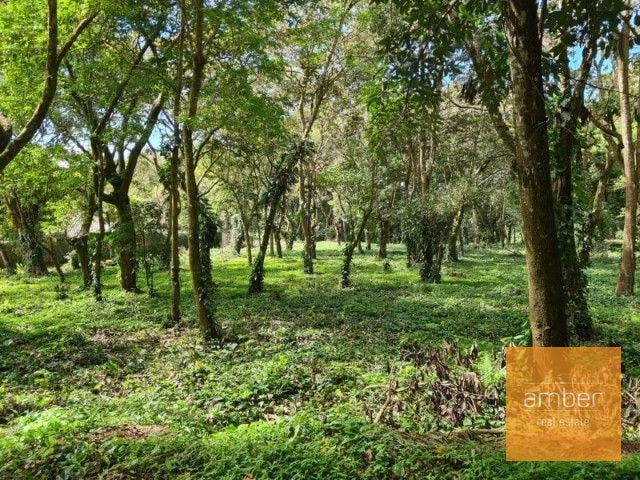 Terreno en Premiere Campestre - 2