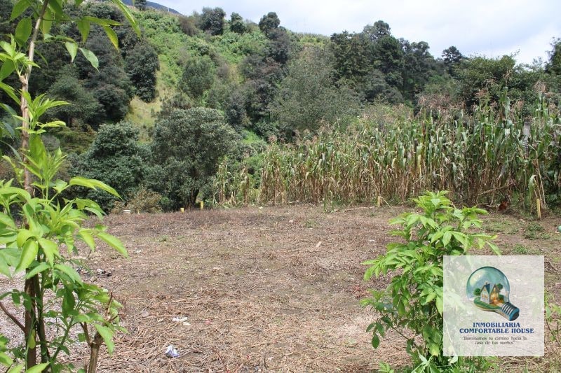Cuerda y media de terreno en venta La Esperanza Quetzaltenango - 10