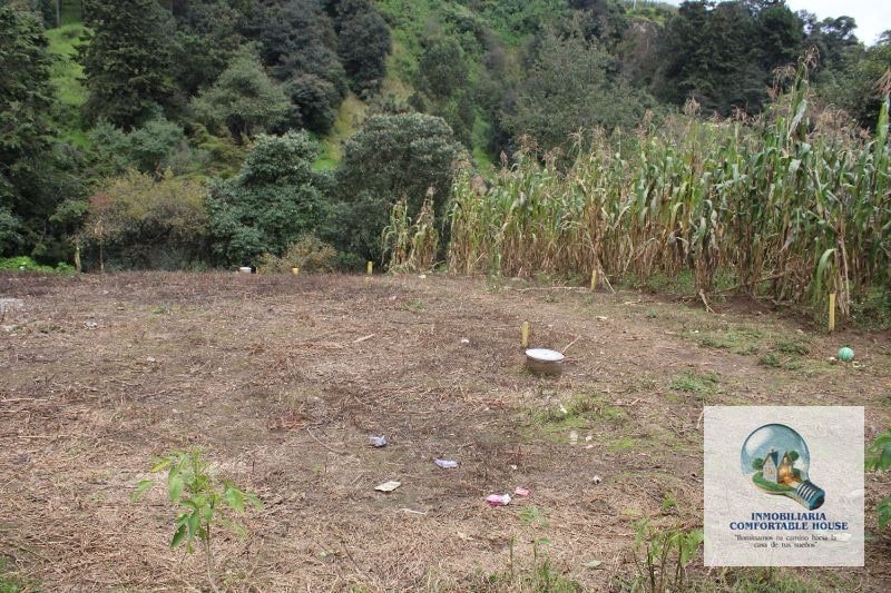 Cuerda y media de terreno en venta La Esperanza Quetzaltenango - 8