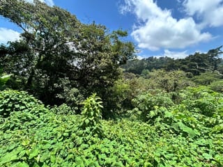 Terreno en Venta Vistalvalle km 9 CES — Terreno en Venta en Carretera a El Salvador, Guatemala, Ciudad — miniatura 2 de 4
