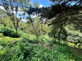 Terreno en venta Vistalvalle km 9 CAES — Terreno en Venta en Carretera a El Salvador, Guatemala, Ciudad — miniatura 3 de 4