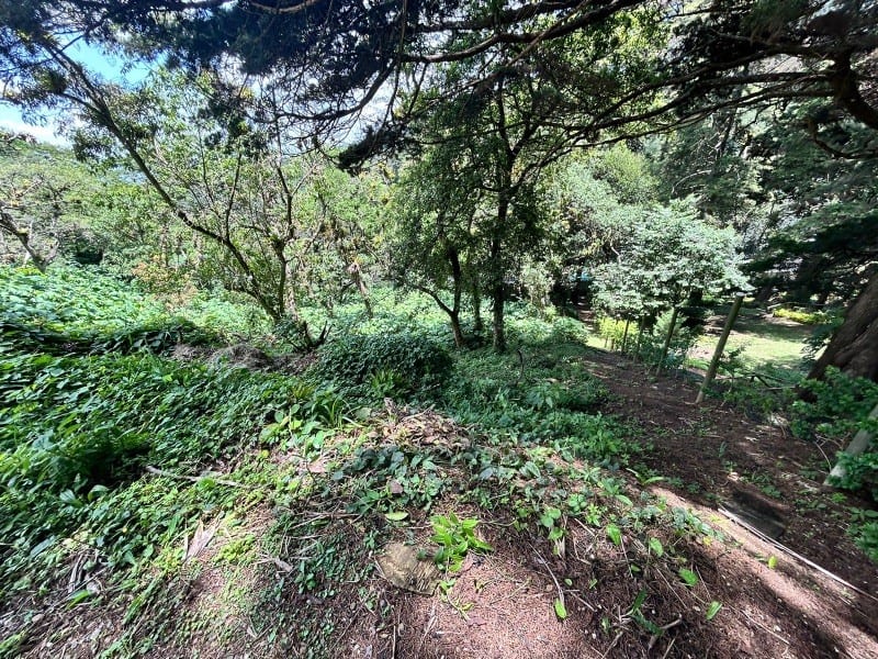 Terreno en venta Vistalvalle km 9 CAES — Terreno en Venta en Carretera a El Salvador, Guatemala, Ciudad — foto 2 de 4