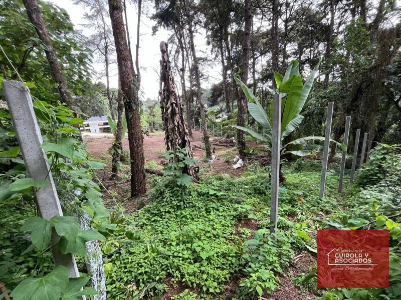 TERRENO EN VENTA EN SANTA ROSALIA LA LAGUNA - 2