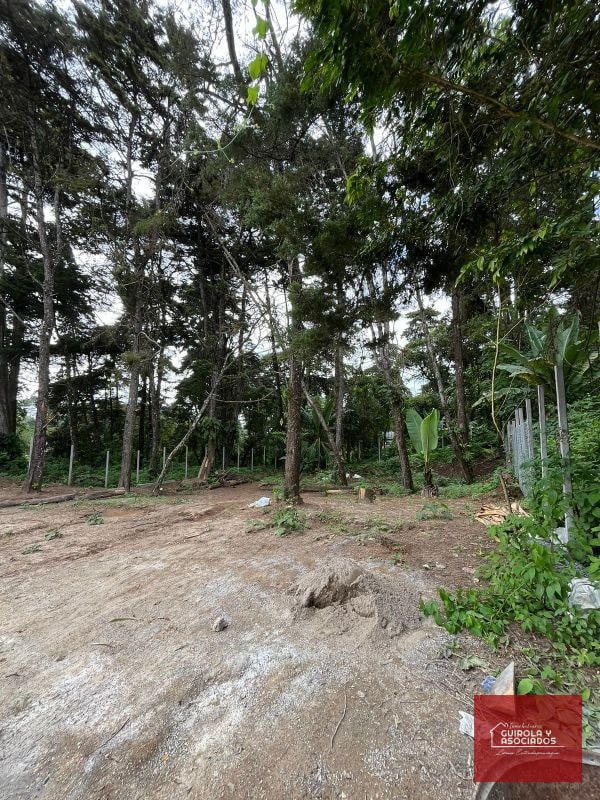 TERRENO EN VENTA EN SANTA ROSALIA LA LAGUNA - 1