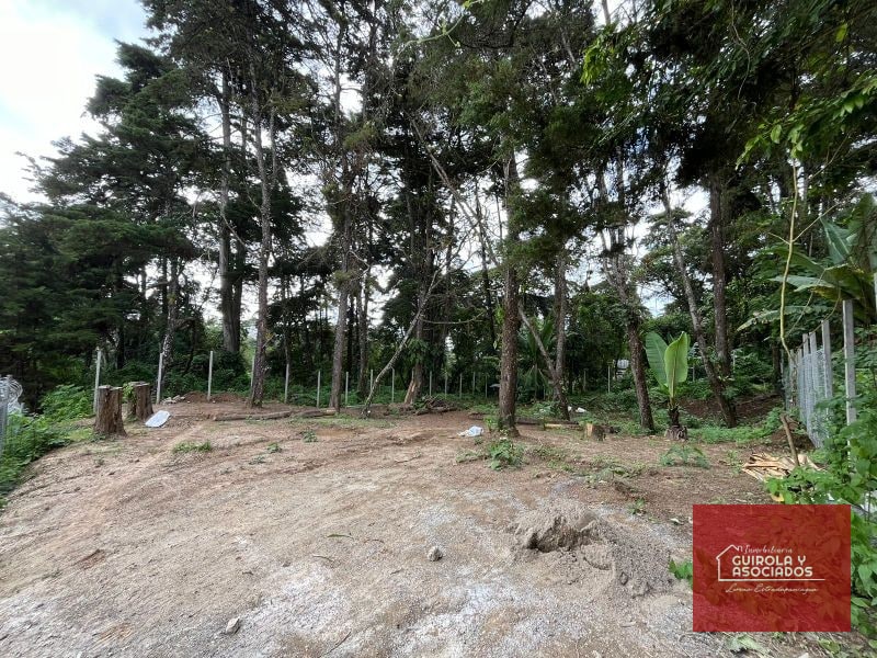 TERRENO EN VENTA EN SANTA ROSALIA LA LAGUNA - 5