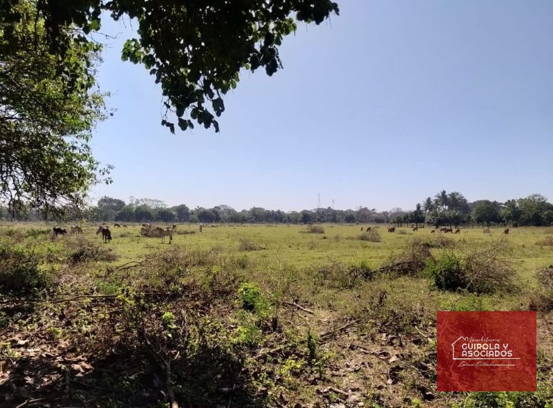 TERRENO EN VENTA EN ESCUINTLA 001TVESD - 5