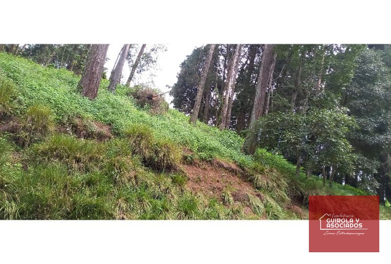 TERRENO EN VENTA EN EL KM 21 CARRETERA EL SALVADOR 008TVCD - 8