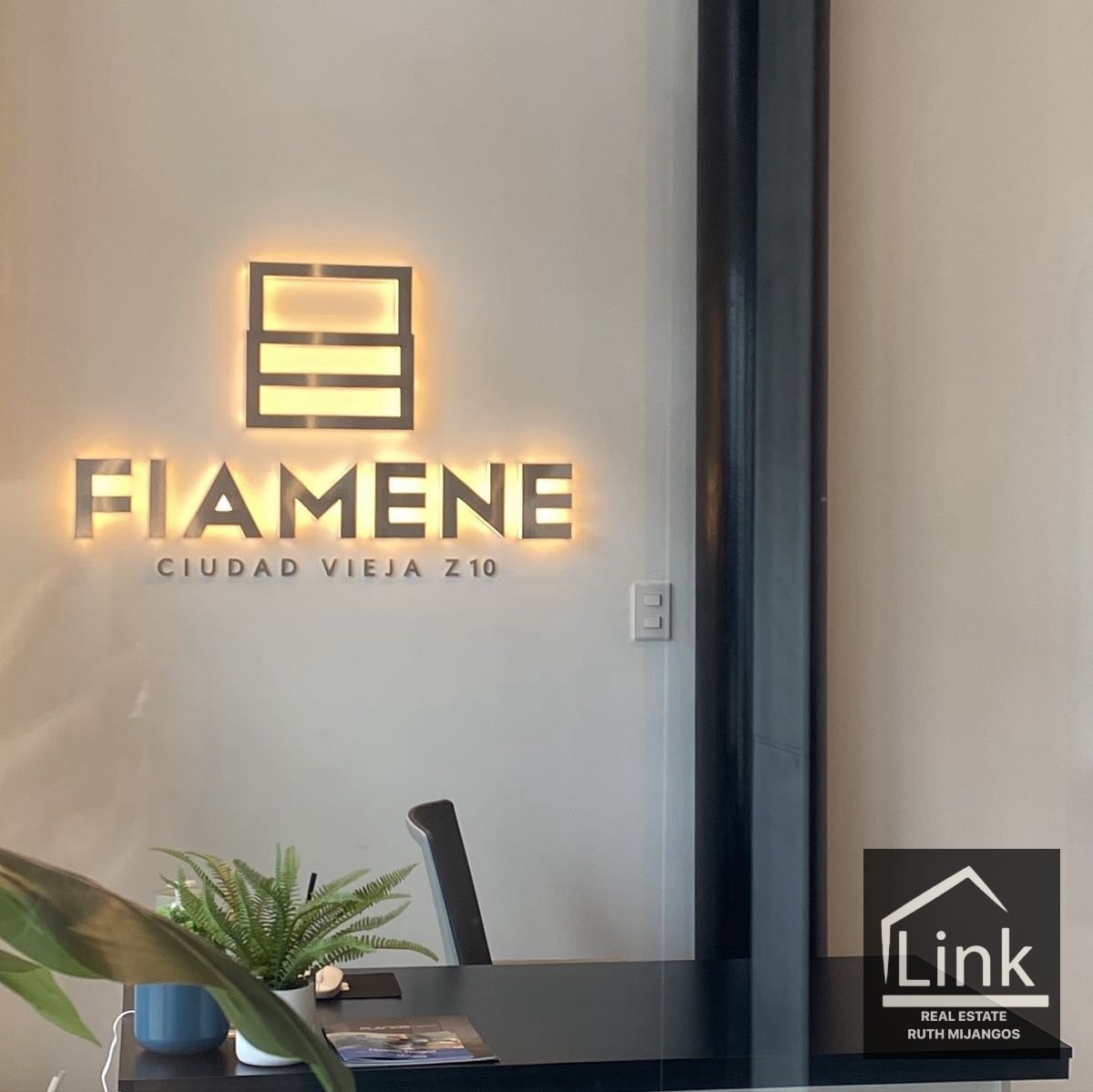 Local comercial zona 10 FIAMENE - 6