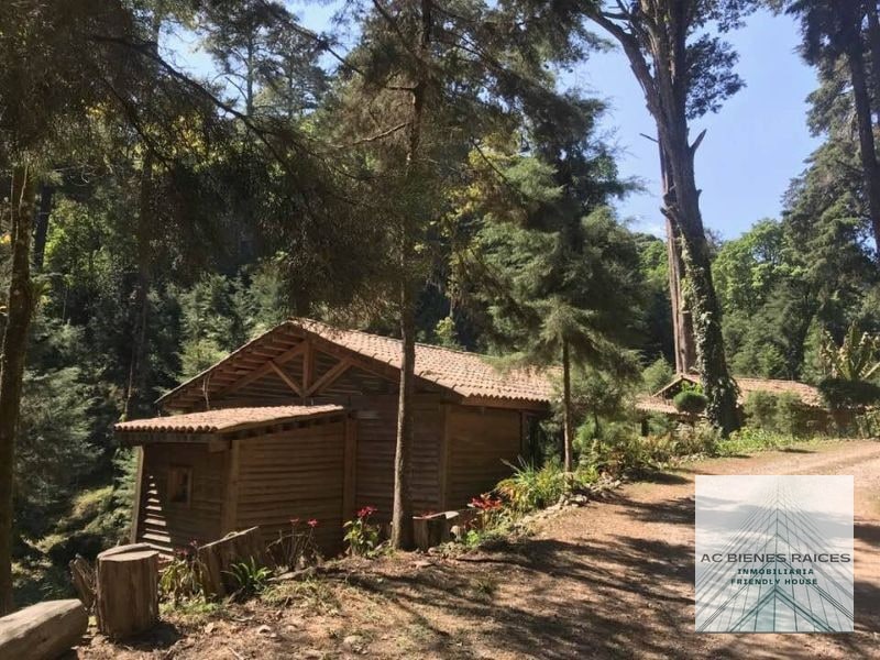 Casa en venta en Residencias Concepción Camelias - 9
