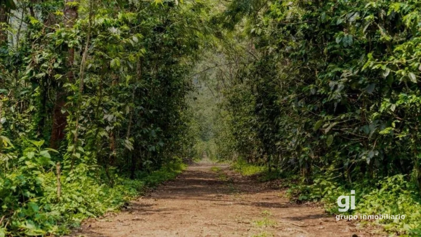 TERRENO EXCLUSIVO EN ANTIGUA GUATEMALA - 8