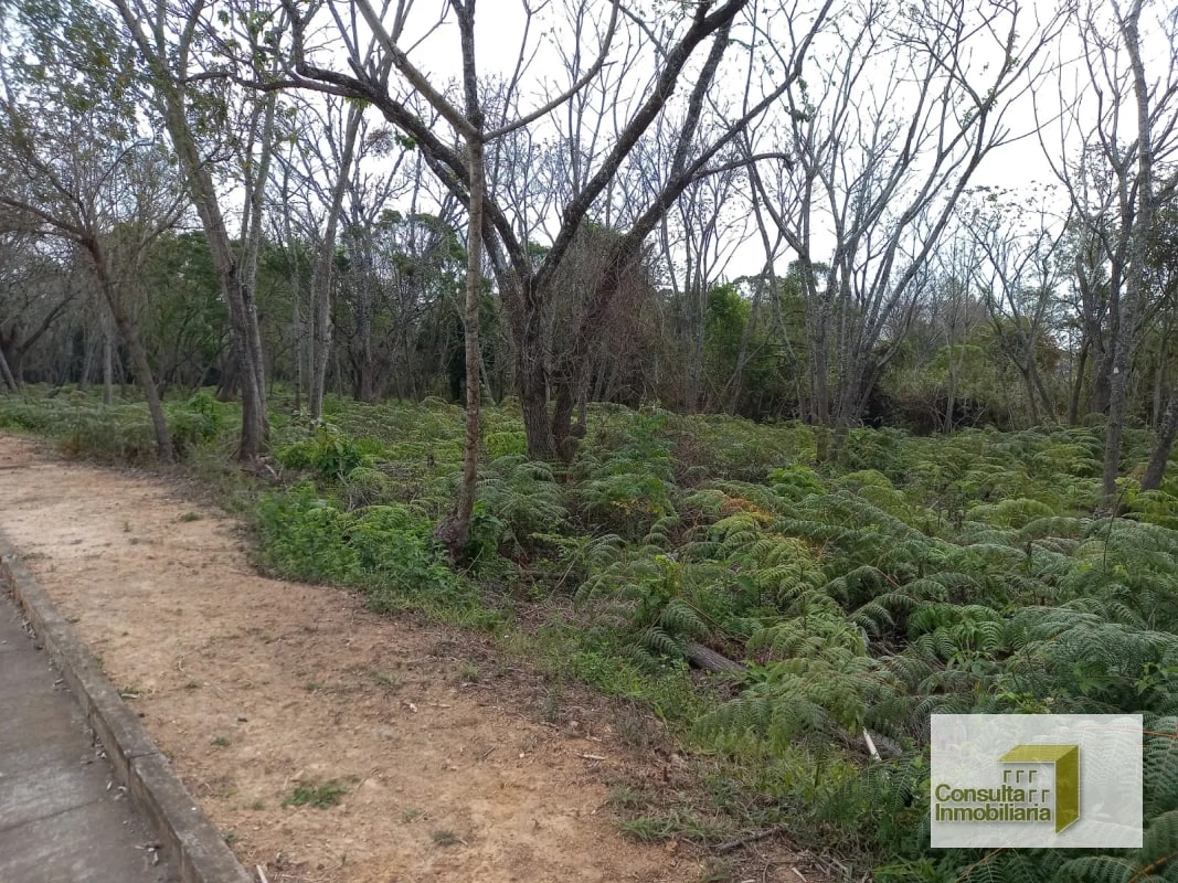 Casa y Campo/ terreno en venta/ 11577.79 vr2 - 4