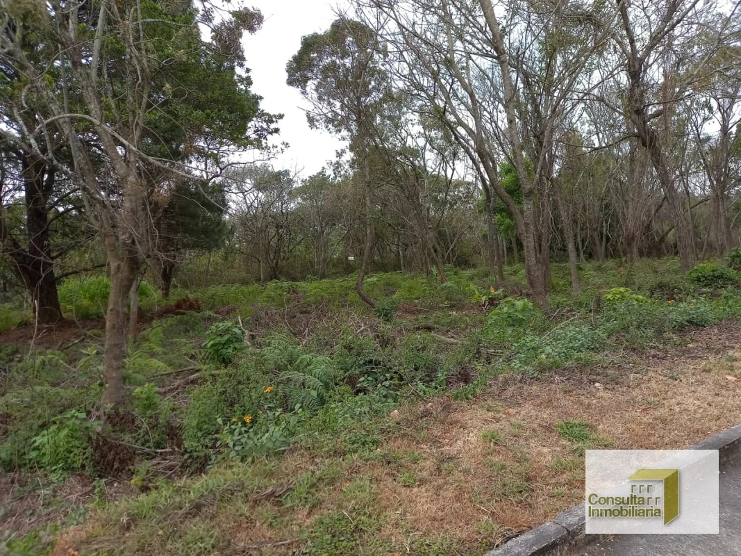 Casa y Campo/ terreno en venta/ 11577.79 vr2 - 2