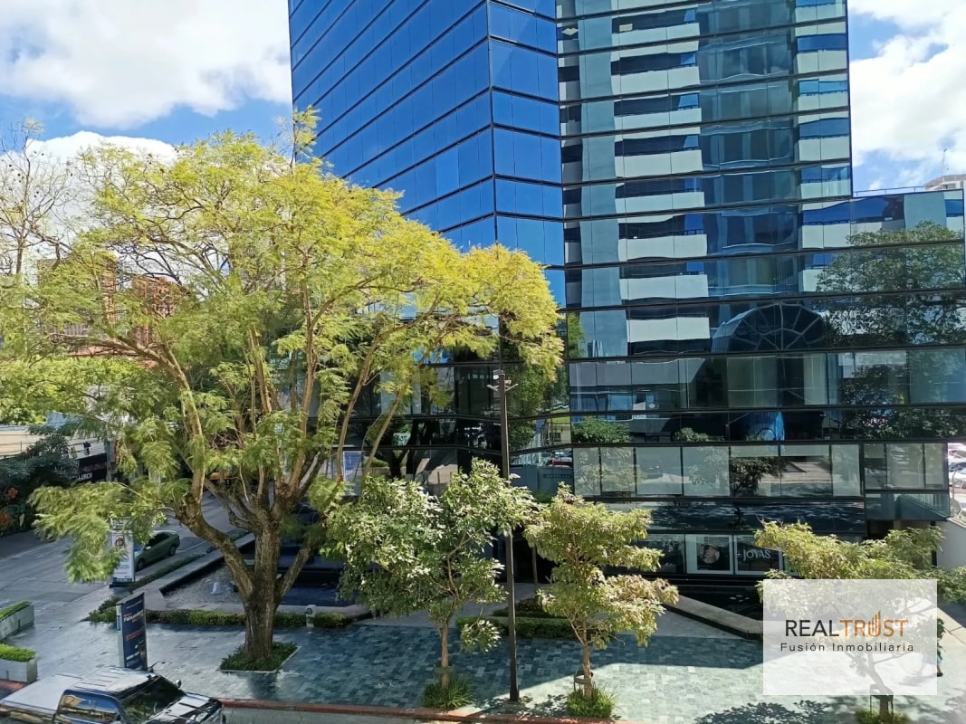 OFICINAS EN ALQUILER EN EL CORAZÓN DE ZONA 10 - 3
