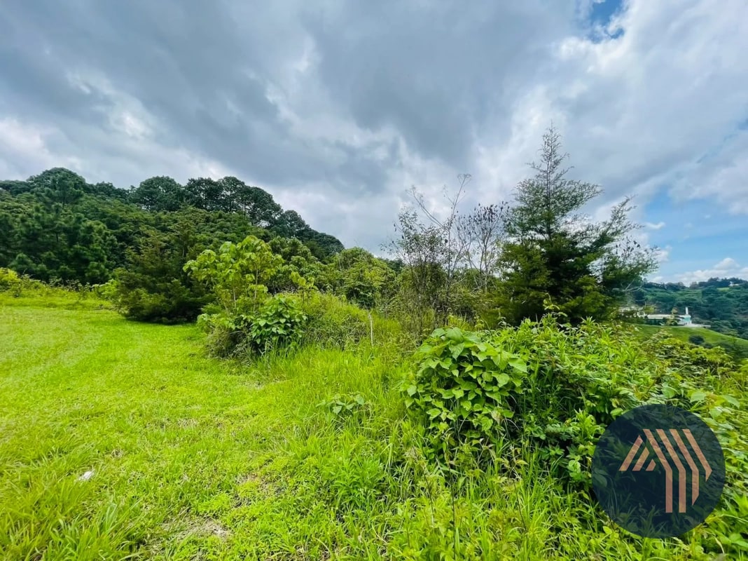 VENTA DE AMPLIO TERRENO - LAS MANZANILLAS, KM 19.9 CES - 3