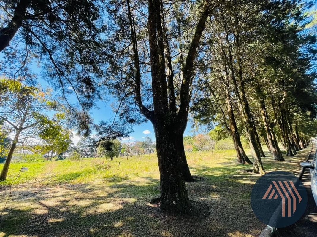 VENTA DE AMPLIO TERRENO - PREMIERE CAMPESTRE, KM 22.5 CES - 9