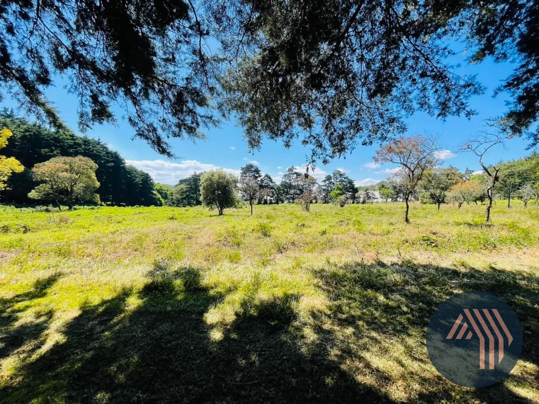 VENTA DE AMPLIO TERRENO - PREMIERE CAMPESTRE, KM 22.5 CES - 8