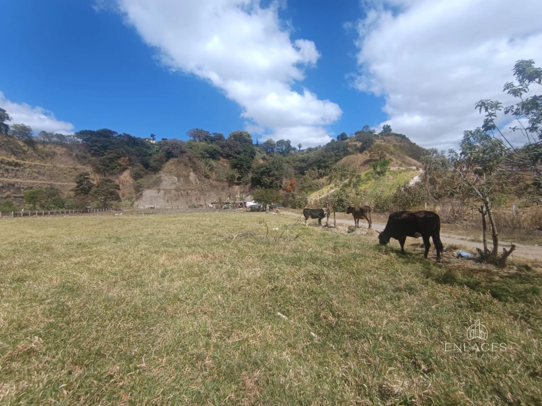 Terreno en venta •La Vas Km 5.5 Junto garita peaje - 15