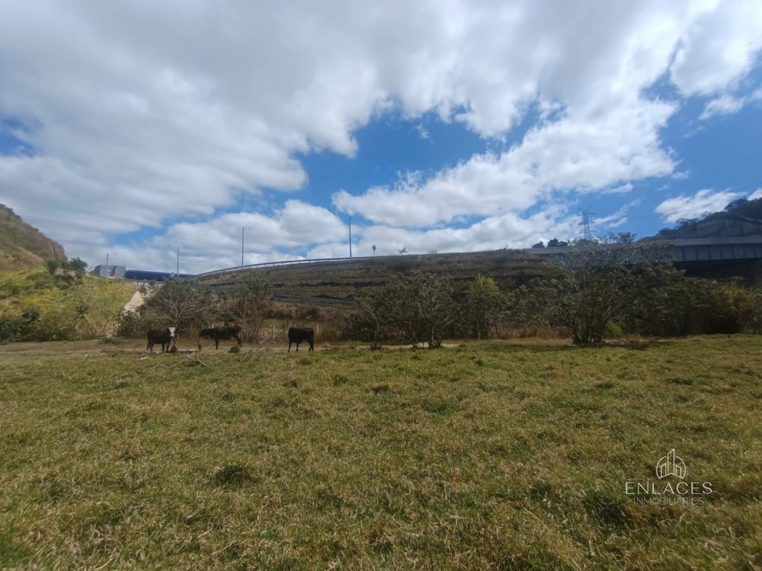 Terreno en venta •La Vas Km 5.5 Junto garita peaje - 11