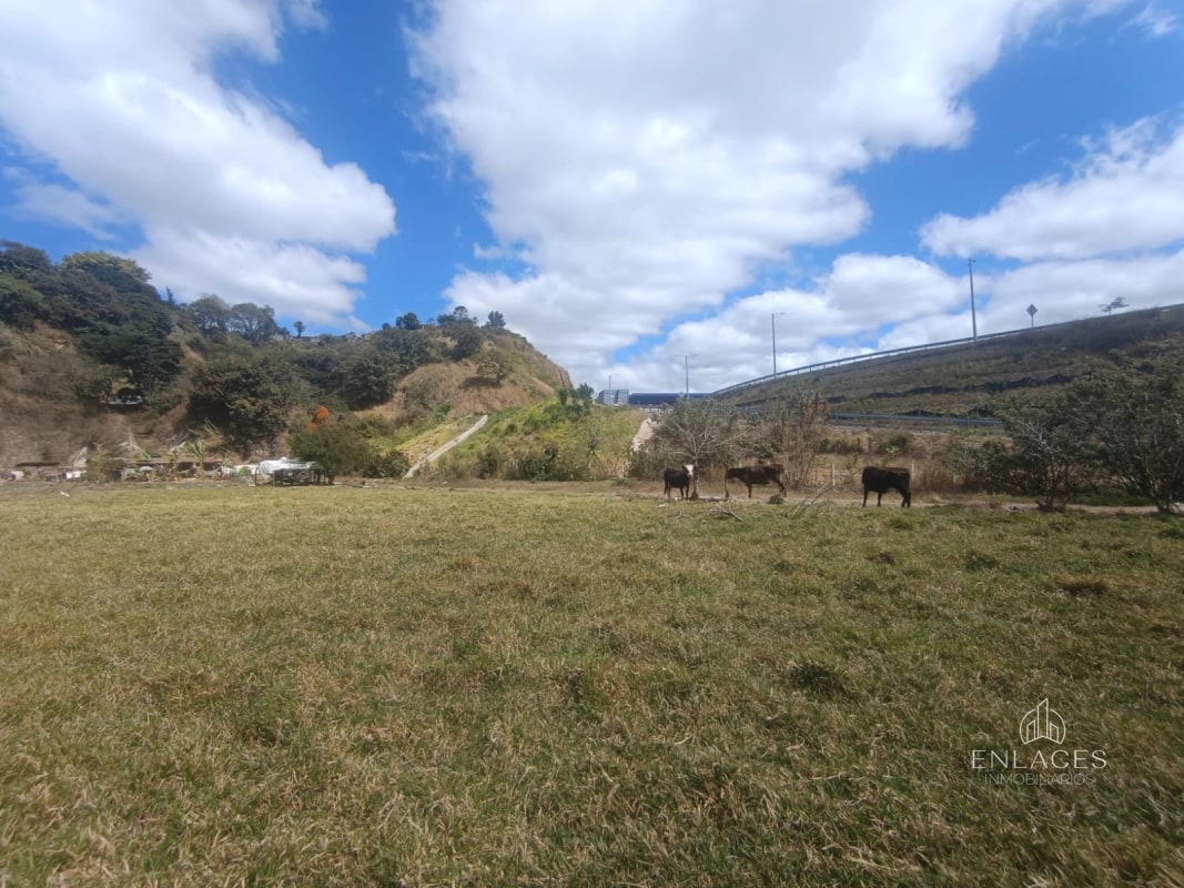Terreno en venta •La Vas Km 5.5 Junto garita peaje - 10