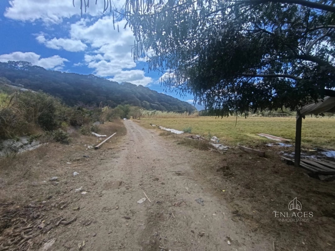 Terreno en venta •La Vas Km 5.5 Junto garita peaje - 3