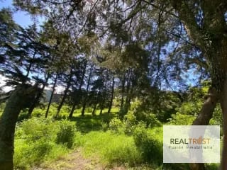 TERRENO EN VENTA ENTRADA A FRAIJANES — Terreno en Venta en Fraijanes, Carretera a El Salvador, Guatemala, Ciudad — miniatura 3 de 9