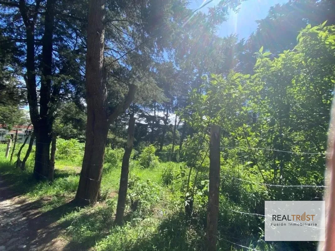 TERRENO EN VENTA ENTRADA A FRAIJANES — Terreno en Venta en Fraijanes, Carretera a El Salvador, Guatemala, Ciudad — foto 2 de 9